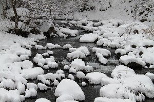 赤川も雪化粧です