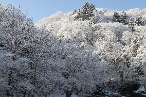 赤川渓谷雪化粧